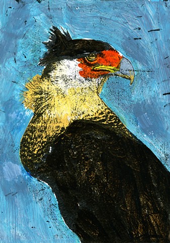 Caracara