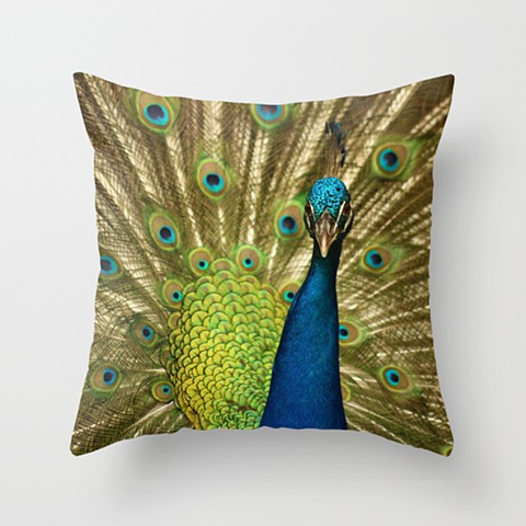 Peacock Pillow