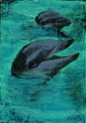A Pair of Dolphins