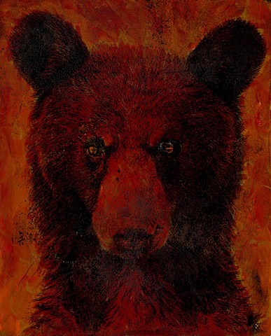 The Bear In The Cabin