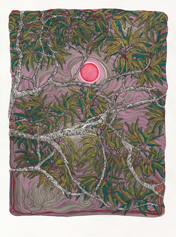 Pink Moon Is on Its Way