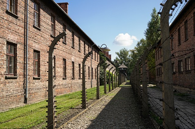 Auschwitz fences
