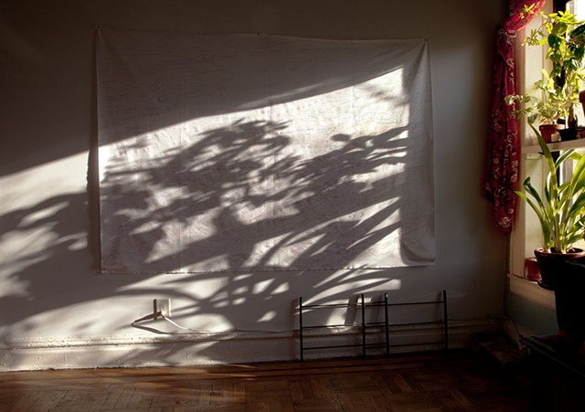 The Photo of the canvas after one year of tracing leaf shadows.