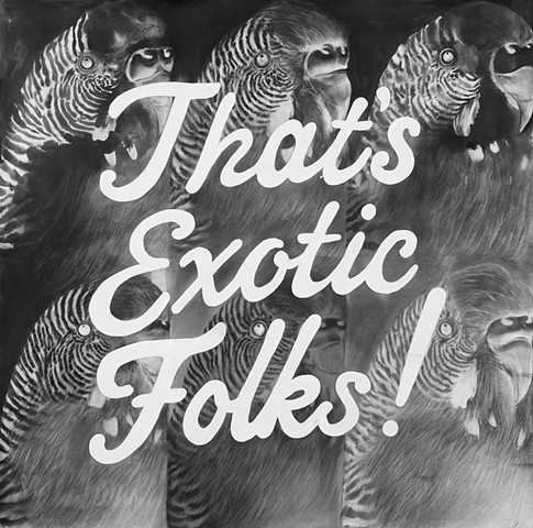 That's Exotic Folks