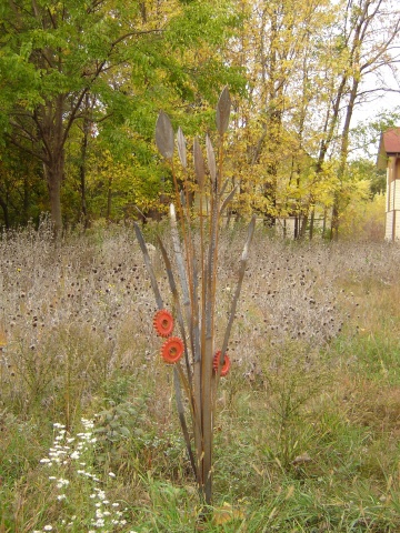 Seed heads and red flowers