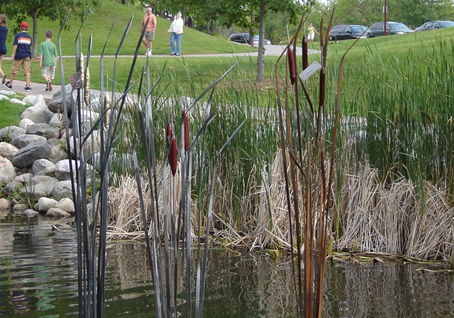 Display of three cattail versions at the 2009 Centennial Lakes-Fall into the Arts