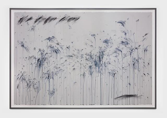 When springtime blooms appear