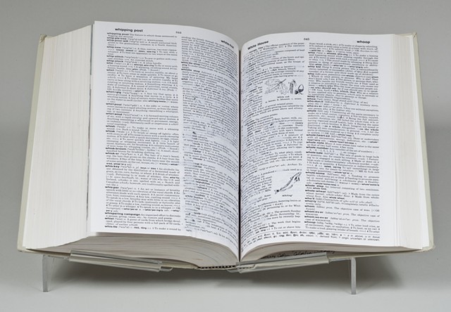 Colorless Dictionary, 1988