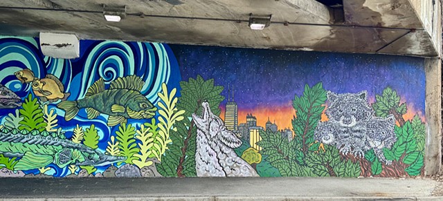Nocturnal Animals Coyote and Racoons "Night Side" Mural Lincoln Park Chicago