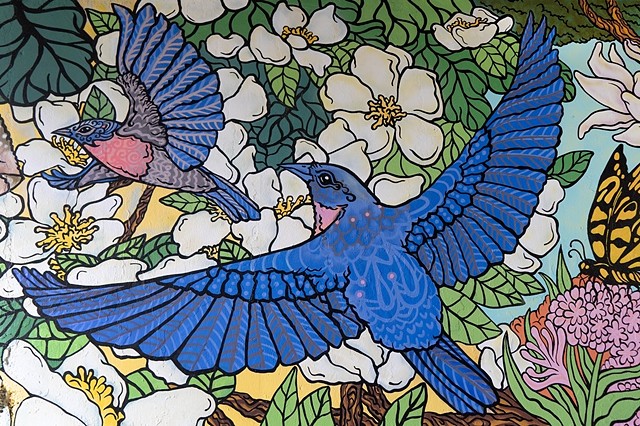 Blue Birds "Day Side" Mural Lincoln Park Chicago 