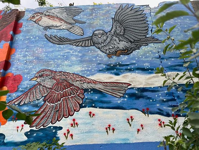 Avion Odyssey Mural Project for WEAR Garden