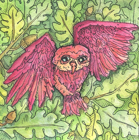 Red Owl 