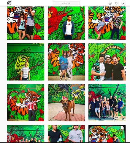 "Animals of Sumatra"
Colectivo Coffee Mural
As a backdrop for marketing the new location via Instagram