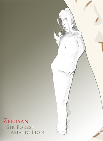 Character(s): Zenisan 