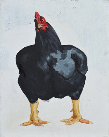 Large Black Fowl Cock aka "George"