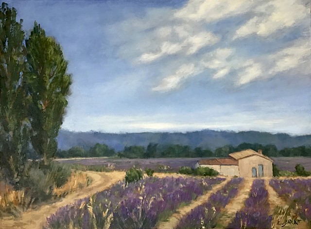 Provence, lavender fields 