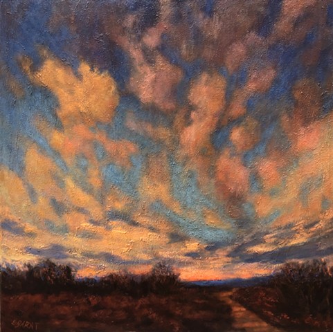 Delta sunset, impressionism, dusk, skyscape, 