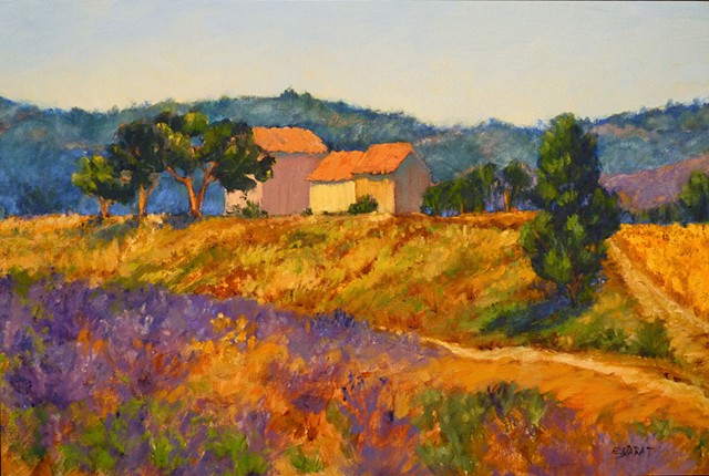 Sunny Farm in Haute Provence