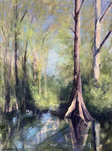 River Cypress, Spring Light