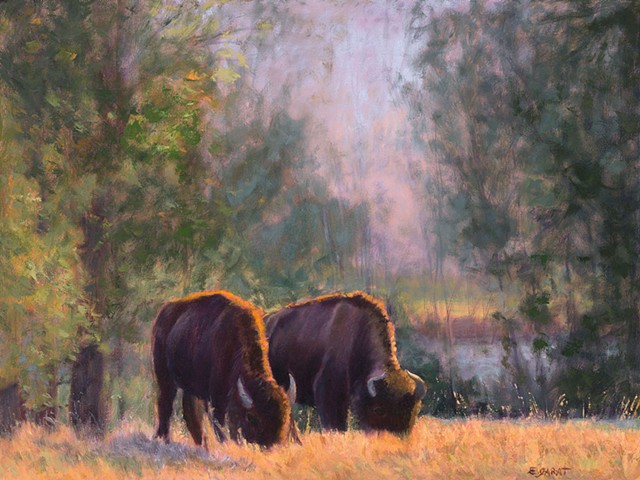 buffalo painting, impressionism, soft light