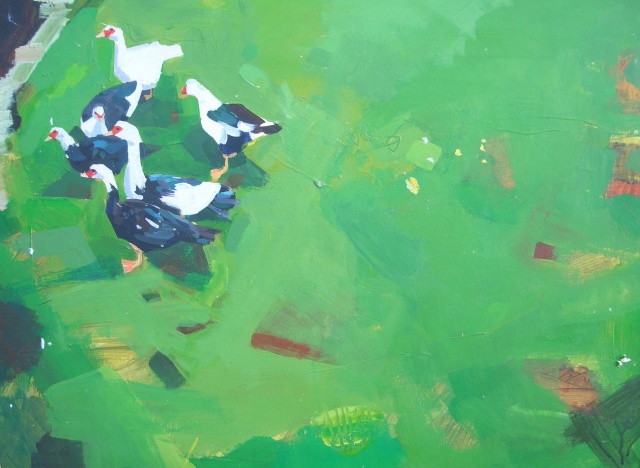 Ducks