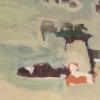 Cows