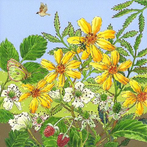 Ollalieberry, sunflower, beetle, butterfly