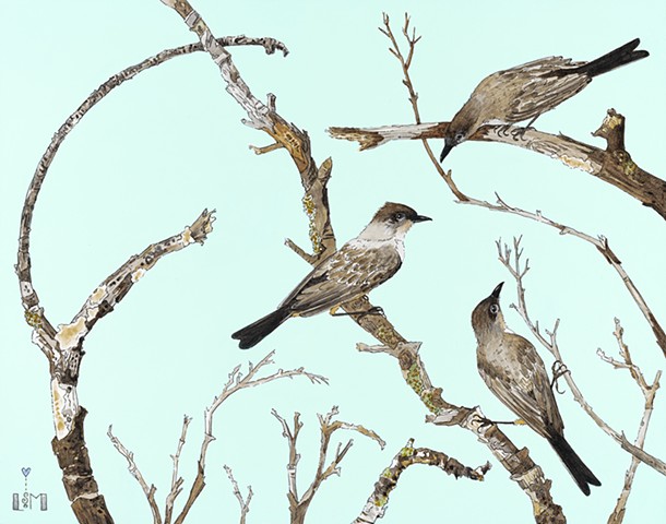 trio, says phoebe, birds in art, bird art, birds, oak trees, botanicals