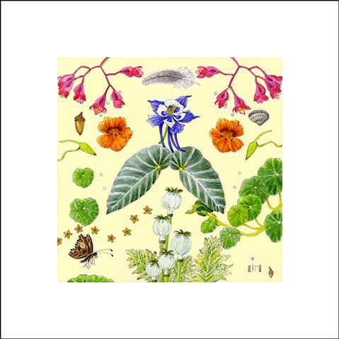 nasturtiums,begonia,wingleaves,acorn,acorns,feather,matilijapoppypods,begonias,butterfly