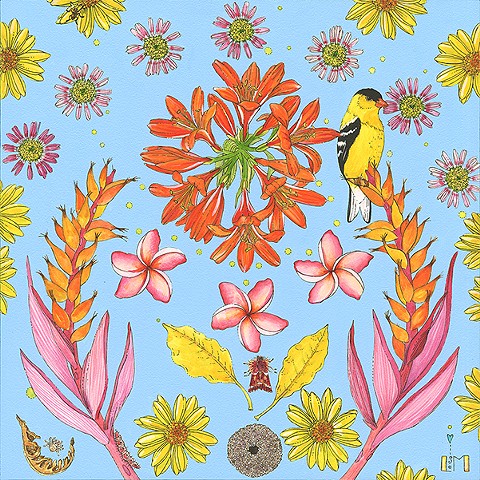goldfinch,moth,pinkmoth,botanicalart,flowers,birds,flowersinart,birdsinart