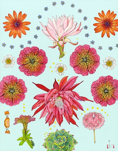 epiphyllum, botanical, botanical watercolors, ojai artist, floral, floral art