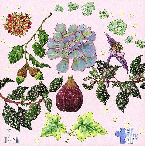 figs,polkadotplant,plants,gardens,botanicalart,bees,bee,garden,gardener,fig,purple