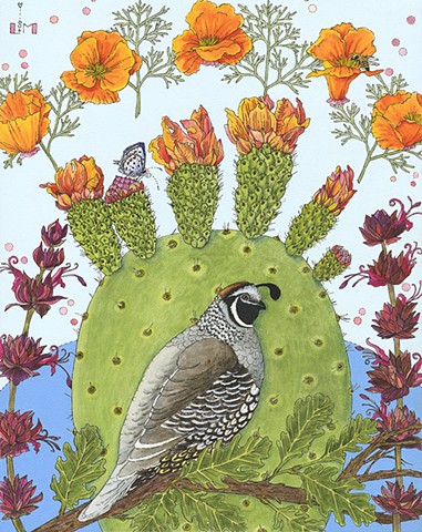 quail, california poppy, cactus, paddle cactus, california plants and birds