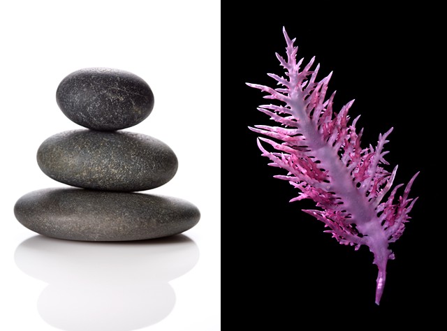 Balancing stones / Red seaweed