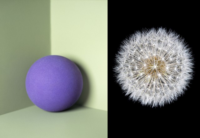 Purple ball / Dandylion seeds