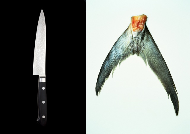 Togiharu knife / Spanish mackerel tail
