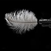 Gun and feather