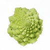 Romanesco cauliflower / Path, Martha's Vinyard, Ma.