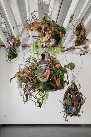 Ariel Nest