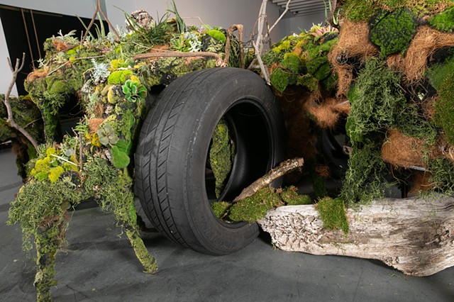 Swallowed by Nature