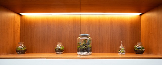 Hybrid Habitats