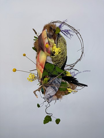 Digital Nesting
