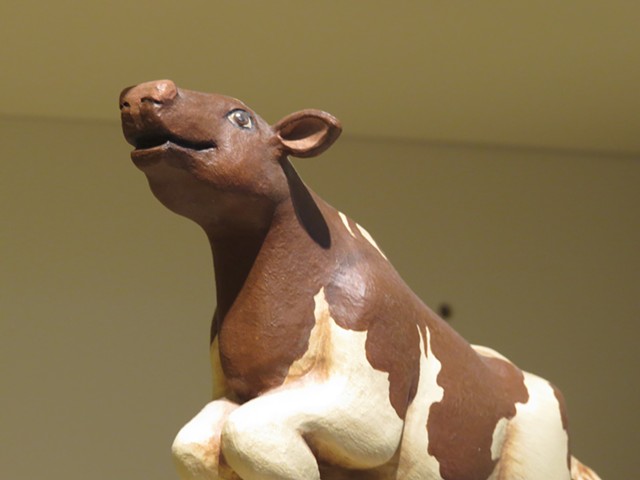 Brown and white cow detail