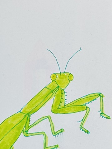 ?????????????????????