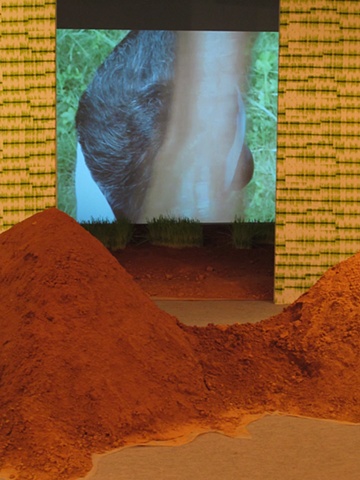Installation photo at Shrine Empire Gallery, New Delhi

Video Projection in background