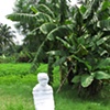 Video still
