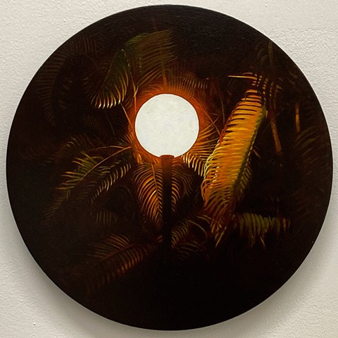 DM Light Dominican Republic punta cana night tropical palm trees beach