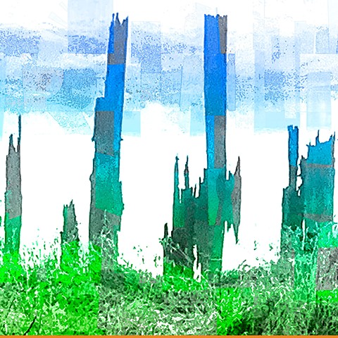 Pitt River BC: Ghost Forest