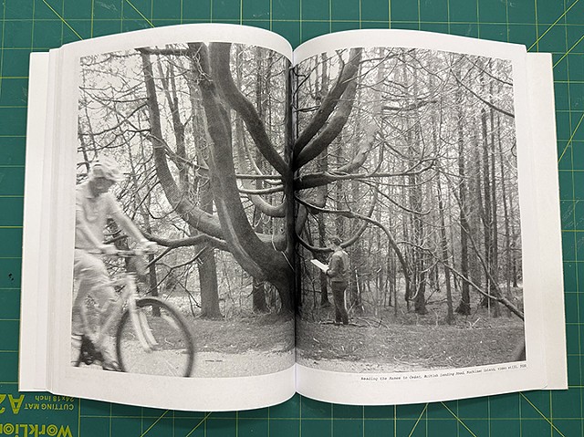 Ancestor Bulletin 24: Reading to the Trees