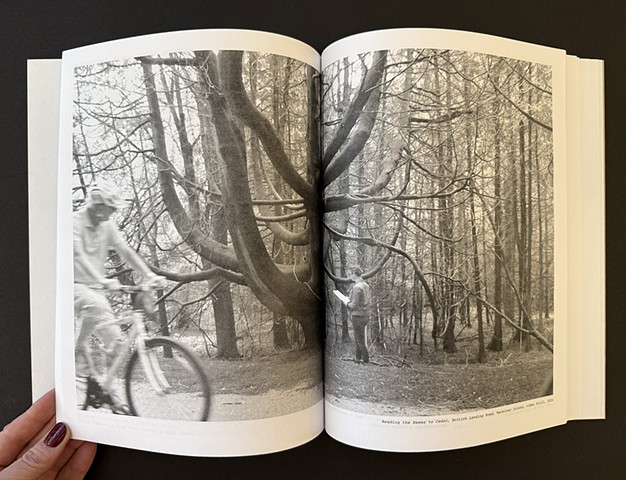 Ancestor Bulletin 24: Reading to the Trees